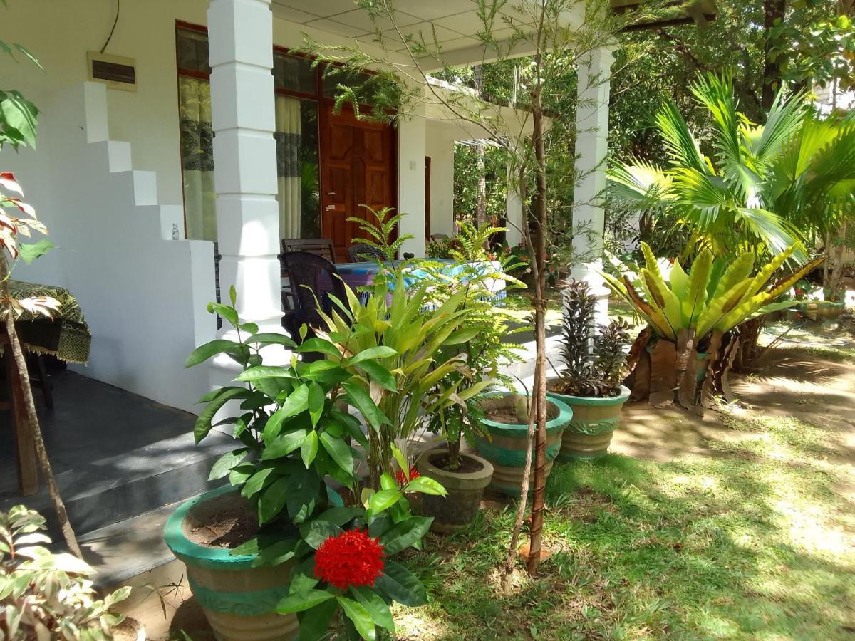 Freedom Home Stay Sigiriya Exterior foto